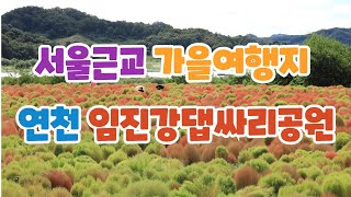 서울근교 가을여행지 연천 임진강댑싸리공원 입장료 주차 [upl. by Cirri]