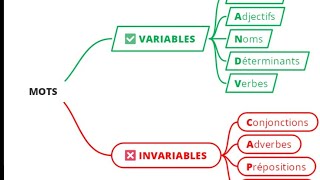 Les mots variables et invariables [upl. by Hamid956]