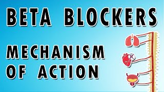 Beta Blockers Mechanism and Side Effects [upl. by Eldrid]