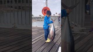 Nightcliff Jetty Tuna  Darwin NT [upl. by Eanej]