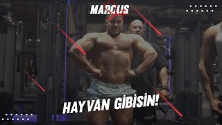 Hayvan Gibisin [upl. by Gweneth]