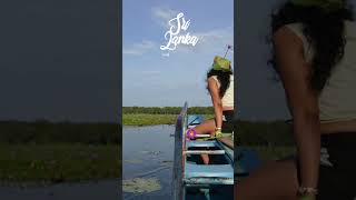 Self healing Sri lanka Shorts Trending Viral srilanka tropical lake boat sun [upl. by Aiasi]