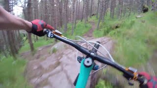 Laggan Wolftrax  Black Run  mtb  Scotland [upl. by Redliw]