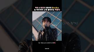 백현 x 밴드조합은 말모말모✨️ baekhyun 백현 kpop 랑데뷰 파인애플슬라이스 pineappleslice 파슬 수록곡 라이브 밴드 백현밴드 [upl. by Katrine]