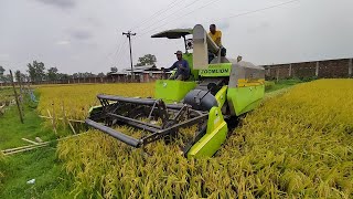 Harvesting Crop with two of the Worlds Largest Combines [upl. by Yelich]