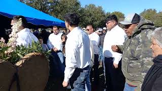 White dove 🕊 release in Cleburne Texas [upl. by Khan]