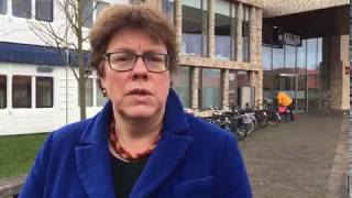 Raad voor Cultuur Liesbet van Zoonen [upl. by Shanon]