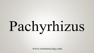 How To Say Pachyrhizus [upl. by Oicul]