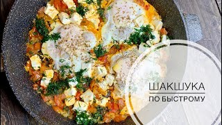 ШАКШУКА Израильская яичница [upl. by Nimsay733]