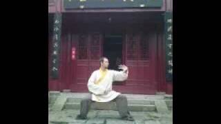 WudangPrinciples Tai Chi UK Portsmouth amp London [upl. by Toiboid]