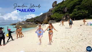 Similan Islands 🌴  Best islands in the World  India to Thailand EP05 [upl. by Bailar]