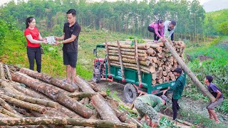 Buy Wood From Villagers On High Hills and Use Trucks To Transport and Sell To Traders  Daily Farm [upl. by Niak560]