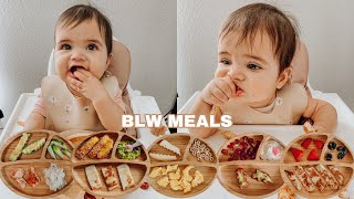 Easy Baby Led Weaning Meals  My Babys Favorite Foods For Breakfast Lunch amp Dinner [upl. by Al]