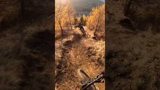 Fall time all time  Freeride MTB [upl. by Faye]