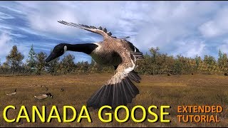 Canada Goose Extended Tutorial  theHunter Classic [upl. by Yereffej]