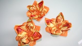 Servietten falten  Lotosblüte  Lotos  Blume napkin folding flower  Lotos [upl. by Goldshell]