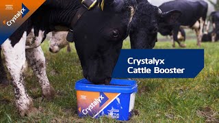 Crystalyx Cattle Booster Improve forage intake amp feed conversion efficiency for optimal performance [upl. by Pruchno988]