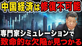 中国経済崩壊は確定…絶対に対策できない致命的な欠陥が見つかった [upl. by Legge874]