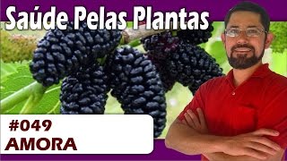 Saúde Pelas Plantas  Amora asma bronquitepneumonia diabetes menopausa [upl. by Sivie286]