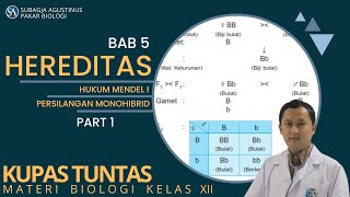 Bab 5 PolaPola Hereditas Kelas 12  Hukum Mendel I Persilangan Monohibrid Part 1 [upl. by Kenny546]