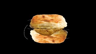 Nugget in a Biscuit by Tobuscus Vocal cover by Furaux [upl. by Eilsehc]