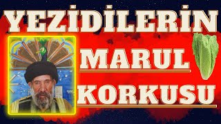 Ezidiler maruldan neden korkuyor [upl. by Sibylle]