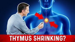 Why Does Our Thymus Shrink to Nothing As We Age [upl. by Salokin]