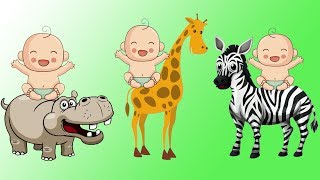 tiere lernen für kleinkinder deutsch  waldtiere geräusche erkennen  BeBi TV [upl. by Ylrebme]