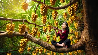 Harvesting Langsat Fruit amp Goes To Market Sell  Gardening And Cooking  Lý Tiểu Vân [upl. by Meyer]