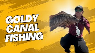 Fishing Nerang river using Wilson tackle [upl. by Nyllek]