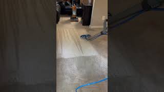 Carpet cleaning jetstreamclean jetstreamclean jetstreamclean [upl. by Madalyn794]