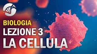 BIOLOGIA  Lezione 3  La Cellula Eucariota [upl. by Domenico]