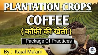 Plantation Crop  Coffee  Horticulture  By  Kajal Maam [upl. by Lettig]