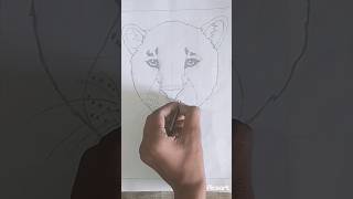 Chita ka drawing songshortyoutubeshort youtubeshort [upl. by Mathe859]