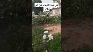 اكسبلور azilal تيكتوك دويتو goodmorning ترند morocco تصويري [upl. by Edra]