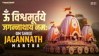 Jagannath Mantra  Lofi Version  Rath Yatra 2024  tripundbhakti [upl. by Fayola]