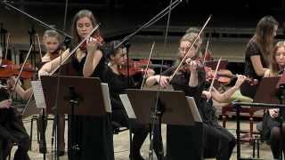 Bach – Double Violin Concerto in D minor BWV 1043  Tomasz Chmiel amp The Young Cracow Philharmonic [upl. by Aham299]