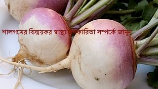 শালগমের বিস্ময়কর স্বাস্থ্য উপকারিতা সম্পর্কে জানুনSalgomer Sasto Upokaritaশালগমের গুনাগুণ [upl. by Inahs]