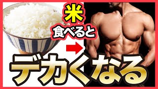 【筋肥大】筋肉をデカくしたいなら米を食べるべき理由 [upl. by Rachael]