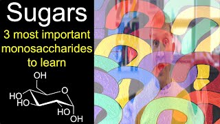 Sugars 3 most important monosaccharides to learn for introductory organic chemistry [upl. by Bozovich]