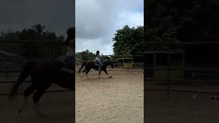 Cantering for the first time felt ROUGH Can’t wait to get better horse horseriding horselover [upl. by Attehcnoc]