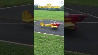 Sig 13 scale Spacewalker is an amazing rc plane [upl. by Pirbhai]