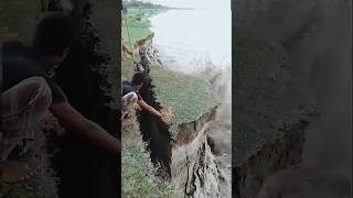 Karnali river cutting floodriver cute karnalishorts [upl. by Ahsen]