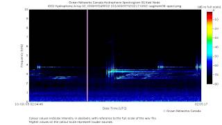 Powerful Sonar Pings and Sweeps in the Strait of Georgia [upl. by Aigroeg]