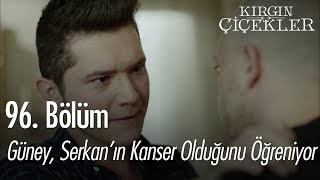 Güney Serkanın kanser olduğunu öğreniyor  Kırgın Çiçekler 96 Bölüm [upl. by Corrinne]