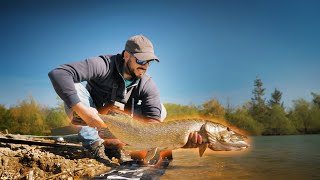 Pêche du gros brochet au leurre  A chaque étang sa technique [upl. by Quartus991]