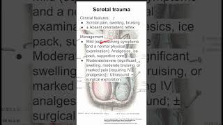 Transillumination  Scrotal Examination  OSCE Guide  UKMLA  CPSA  PLAB 2 [upl. by Adraynek]