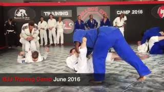 BJJ CAMP JUNE 2016 BULLDOG GYM TENERIFE [upl. by Nallij]