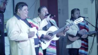 Los Hermanos Jimenez Corrido De Los Perez Gira USA 2013 [upl. by Connel]