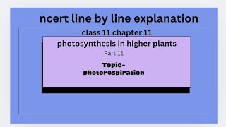 photo respiration  photosynthesis in higher plants NCERT line by line explanation [upl. by Faxen]